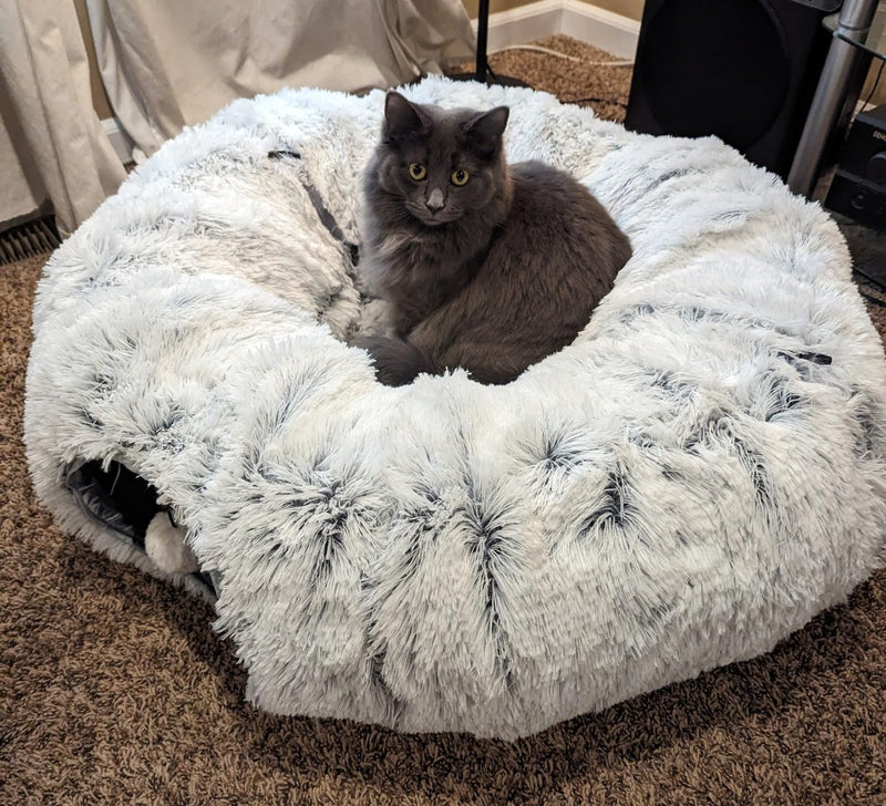 CozyCrawl™ 2 In 1 Cat Tunnel Bed - Shop for less