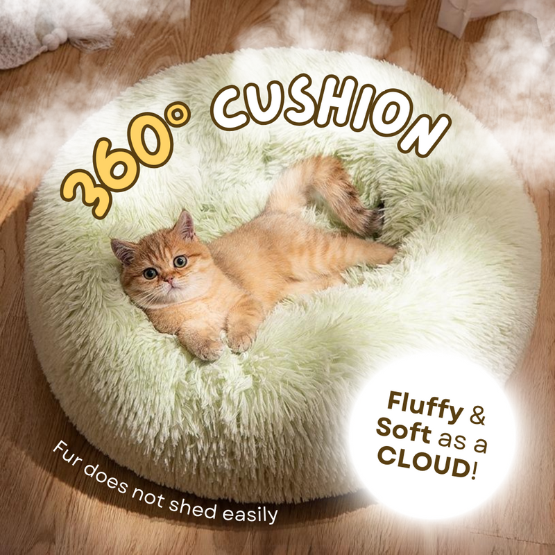 Cat Cloud Bed - Shop for less