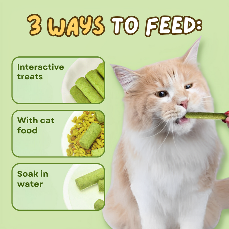 Cat Grass Teething Stick - Shop for less