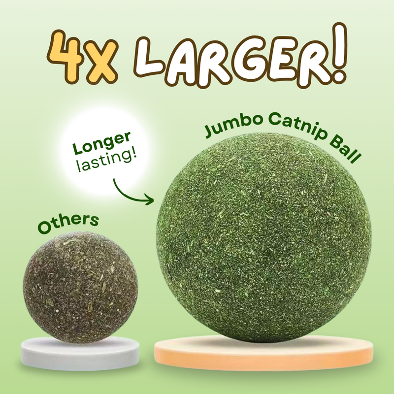 Jumbo Catnip Ball - Shop for less