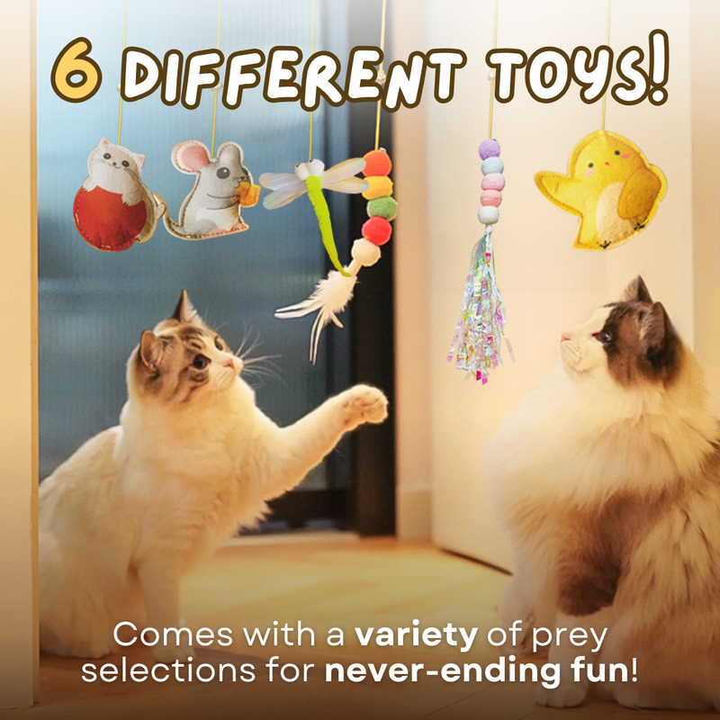 Dangling Cat Toy Set (6 PCS) - Shop for less