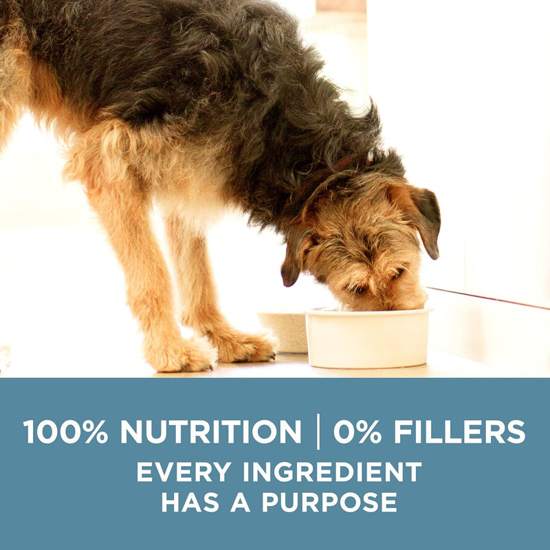 plus Joint Health Formula Natural with Added Vitamins, Minerals and Nutrients Dry Dog Food - 31.1 Lb. Bag - Shop for less