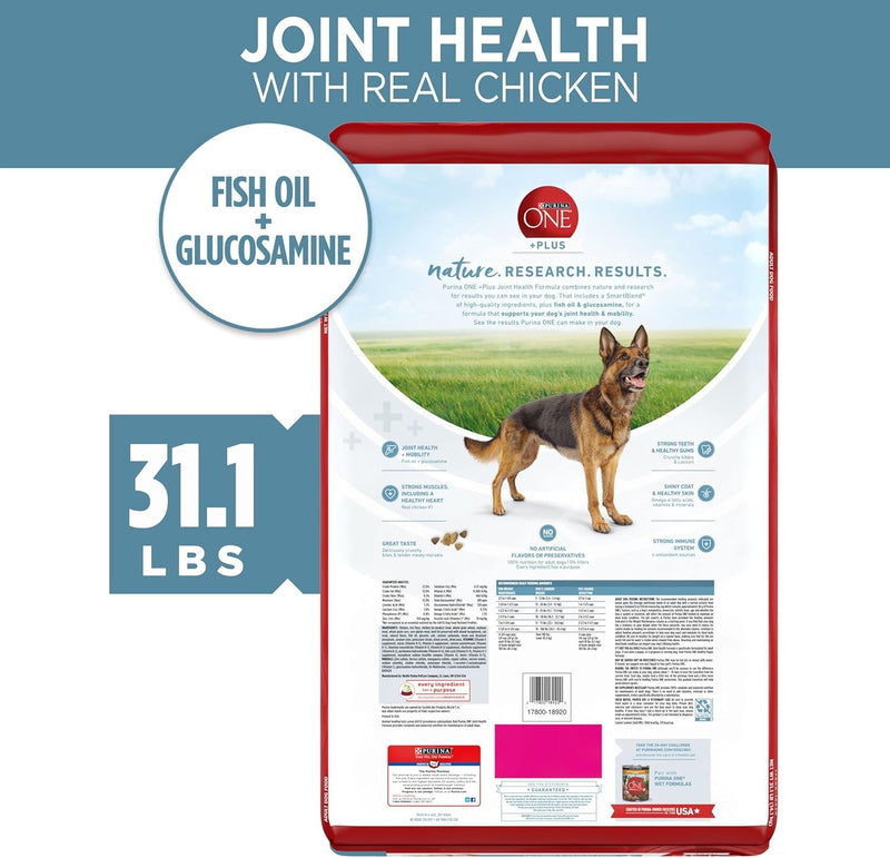 plus Joint Health Formula Natural with Added Vitamins, Minerals and Nutrients Dry Dog Food - 31.1 Lb. Bag - Shop for less