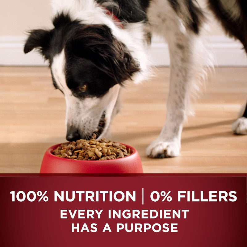 True Instinct with a Blend of Real Turkey and Venison Dry Dog Food - 7.4 Lb. Bag - Shop for less