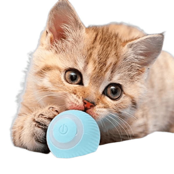 USB Automatic Smart Interactive Cat Toy, Smart Ball Rolling Ball - Shop for less