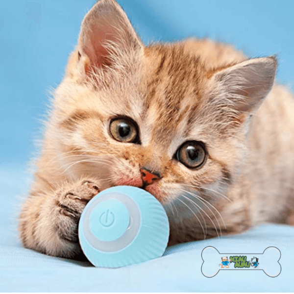 USB Automatic Smart Interactive Cat Toy, Smart Ball Rolling Ball - Shop for less