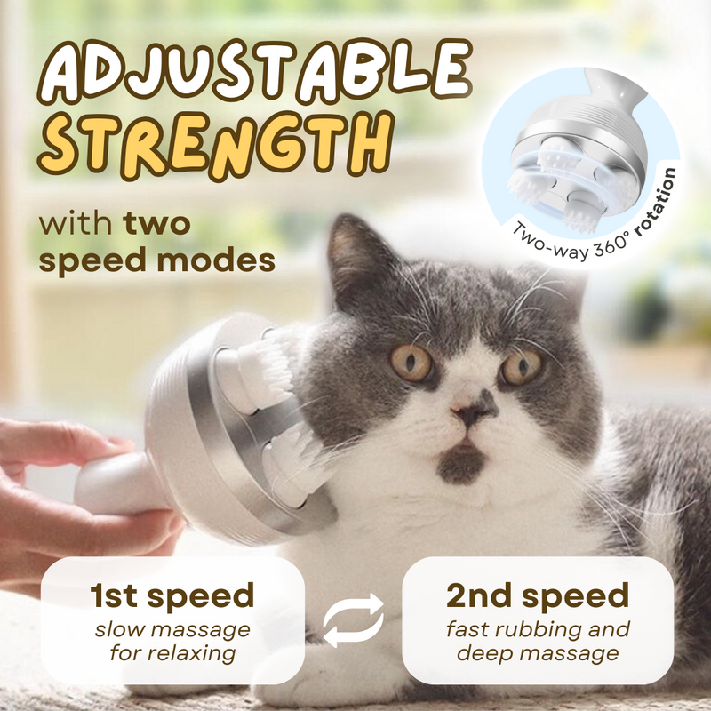 Pet Massager - Shop for less