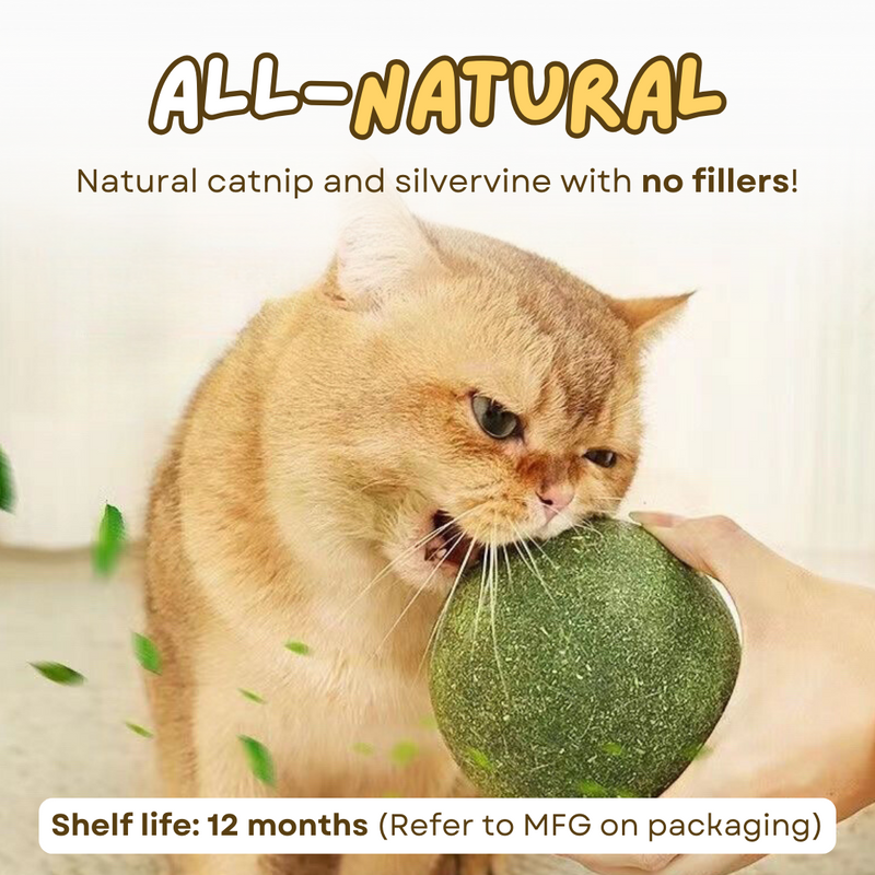 Jumbo Catnip Ball - Shop for less