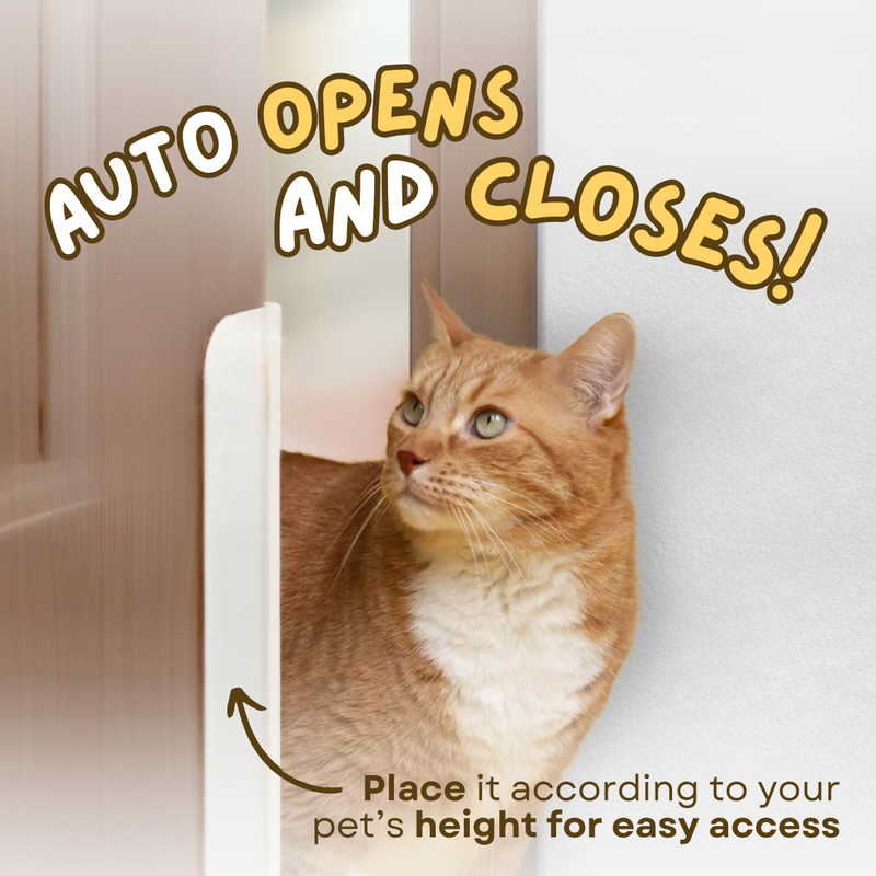 Auto Door Opener - Shop for less