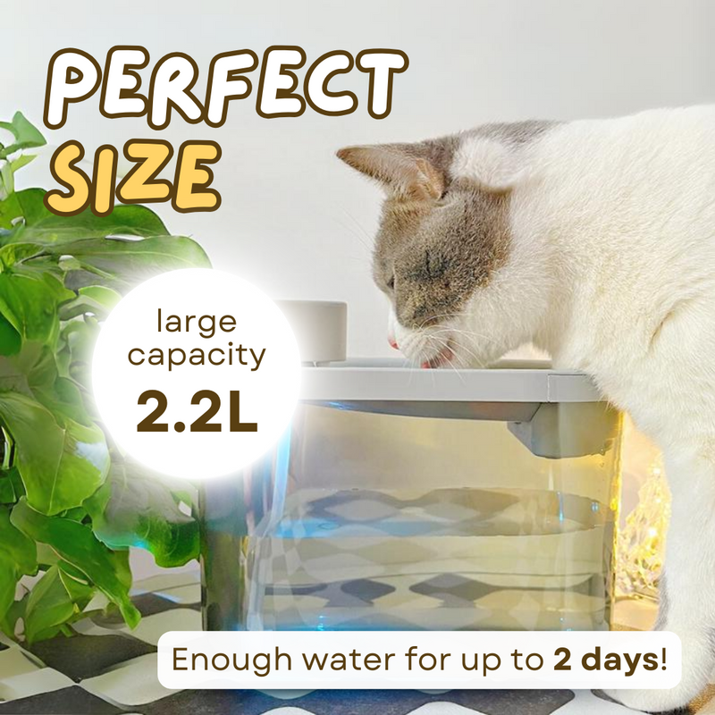 Wireless™ Pet Fountain - Shop for less