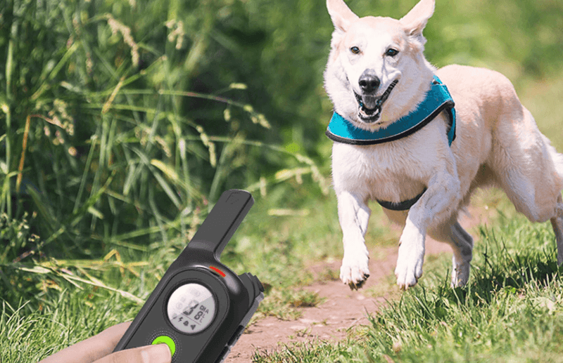 Anti Barking Collar and Training - Bark Off - Shop for less