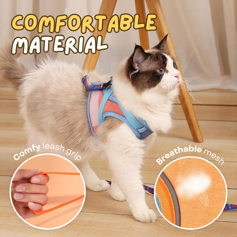 Cat Harness & Leash - Shop for less