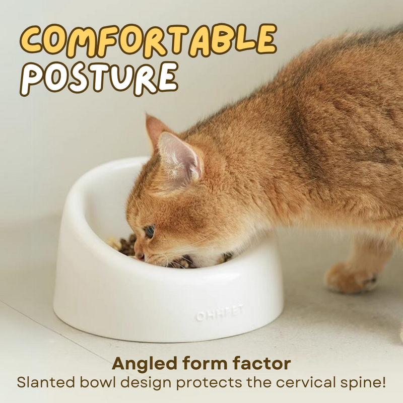 Ceramic Cat Bowl - Shop for less