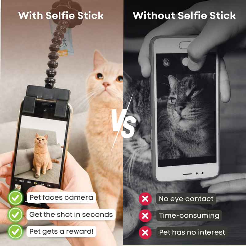 Snapcat Selfie Stick - Shop for less