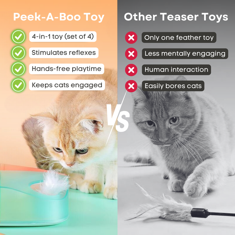 Smart Peek-A-Boo Toy - Shop for less