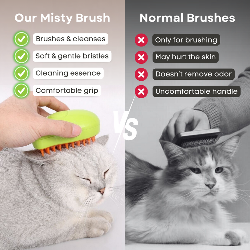 Misty Brush - Shop for less