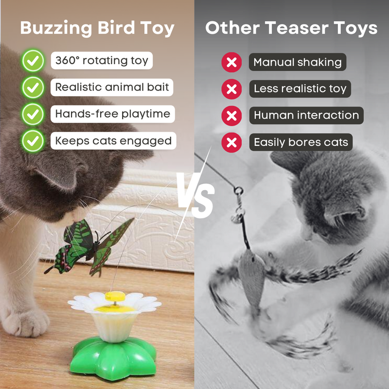 Buzzing Bird Toy - Shop for less