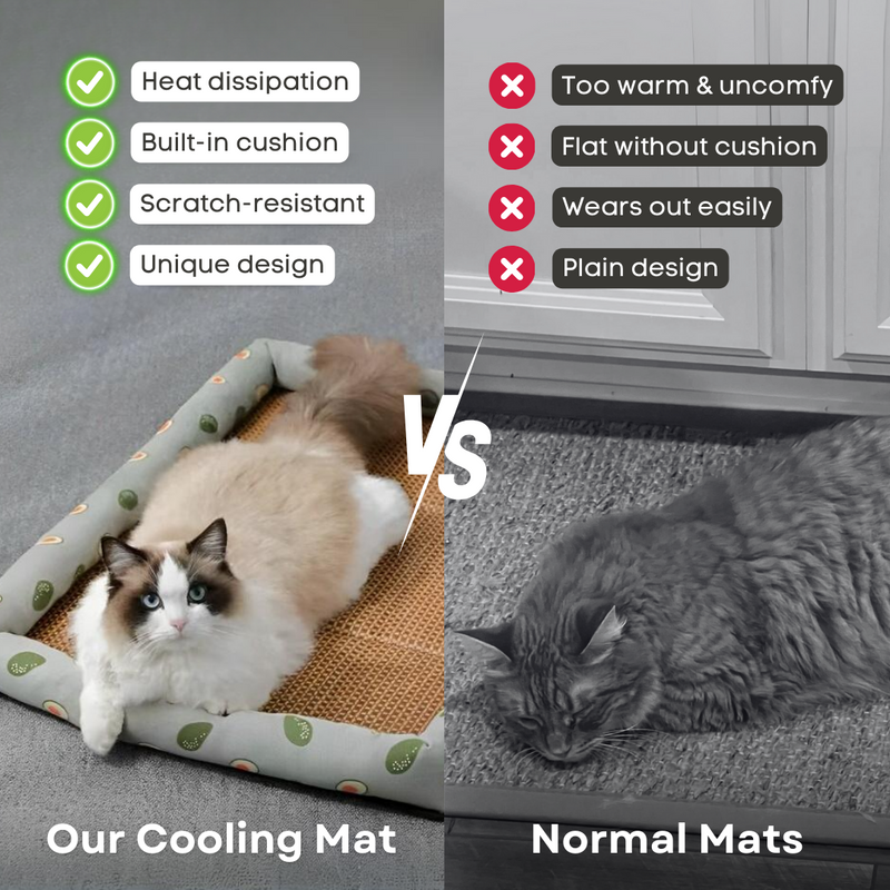 Snuggly Cooling Mat - Shop for less