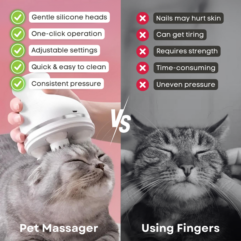 Pet Massager - Shop for less