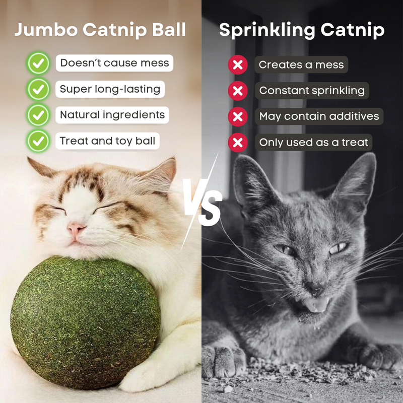 Jumbo Catnip Ball - Shop for less