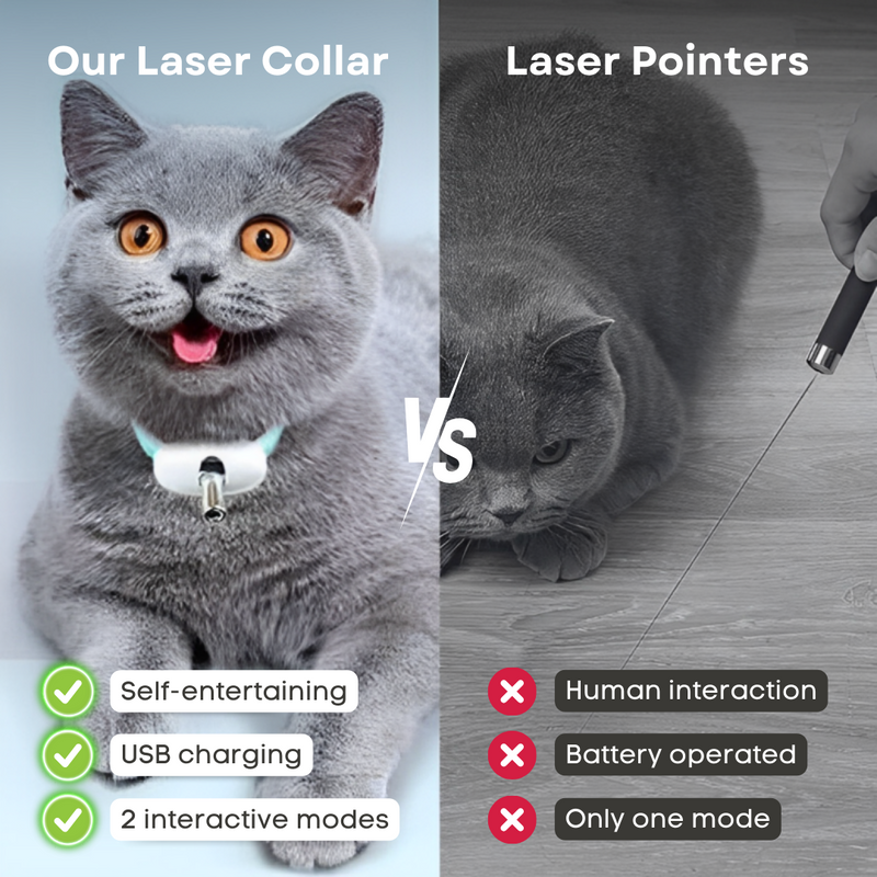 Cat Laser Collar - Shop for less