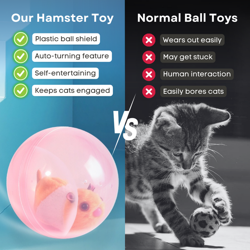 Hamster Toy - Shop for less