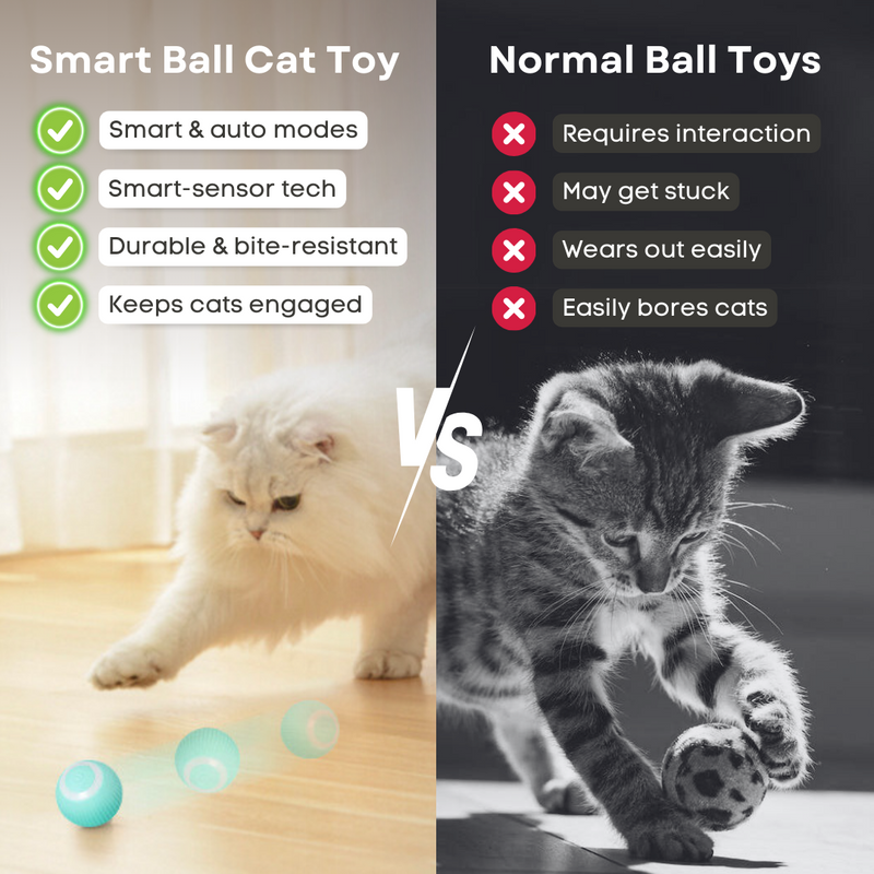 Smart Ball Cat Toy - Shop for less