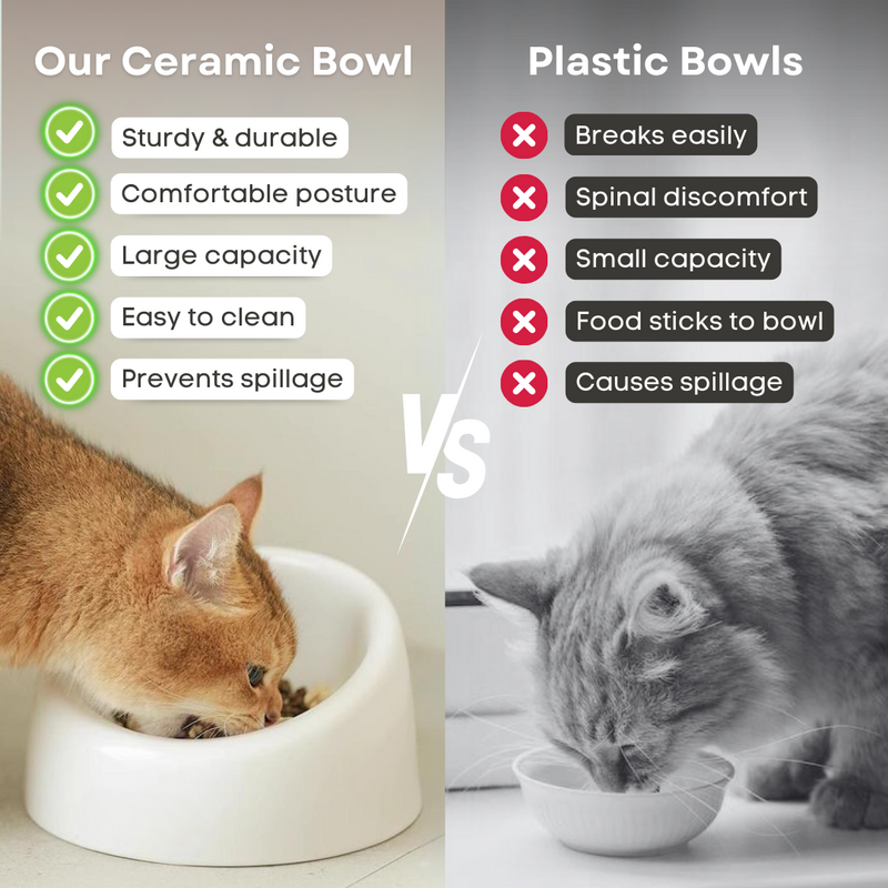 Ceramic Cat Bowl - Shop for less