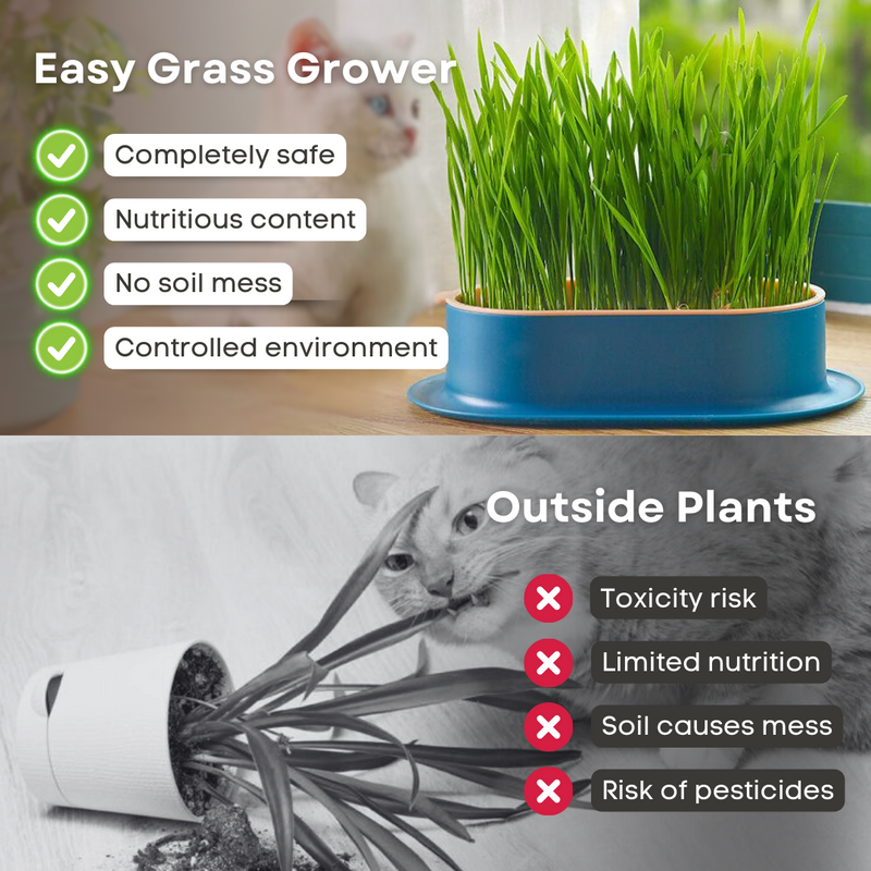 Easy Grass Grower - Shop for less