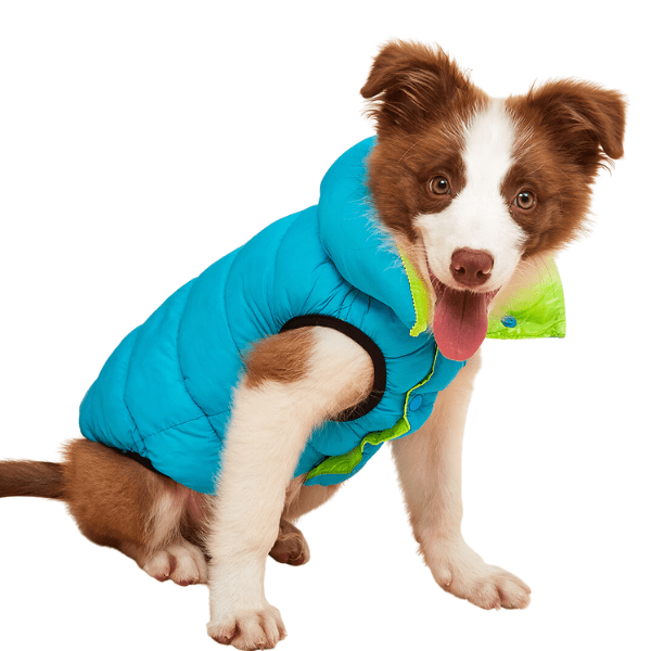 2 in 1 Double Sided Dog Thermal Vest - Shop for less