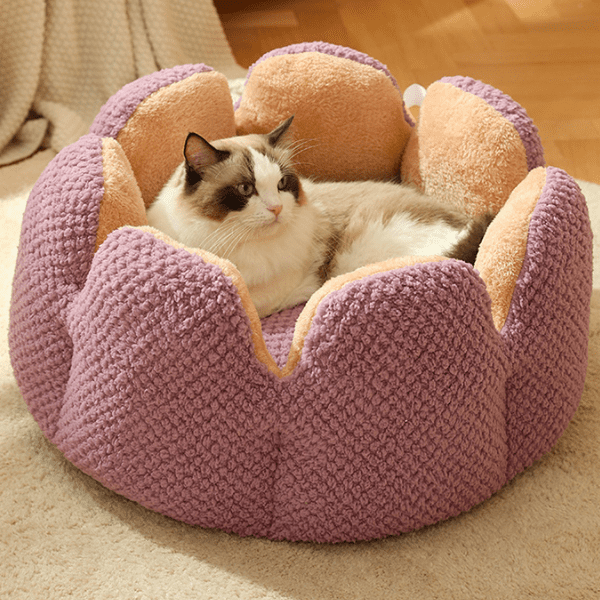 Ultra Soft Cat Bed - Cat Glove - Shop for less