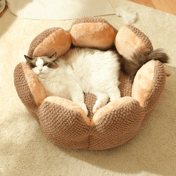 Ultra Soft Cat Bed - Cat Glove - Shop for less