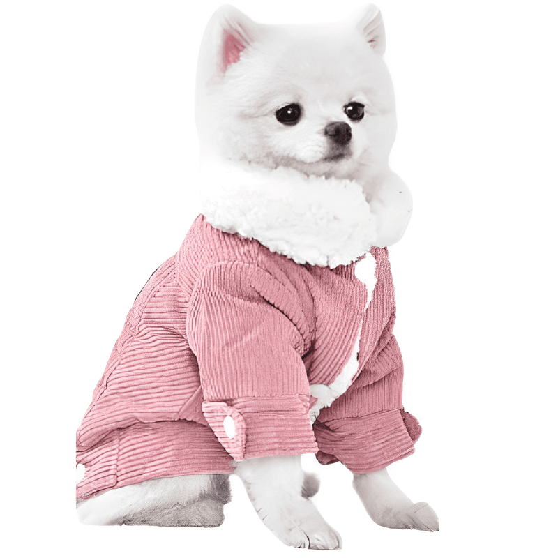 Warm Clothes for Small Breed Dogs - Shop for less