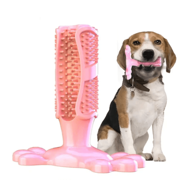 Dog Teether for Teeth Cleaning - Pet Gum - Shop for less