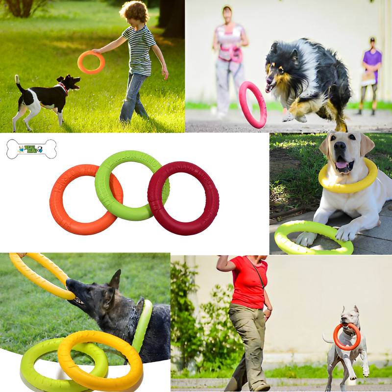 Dog Teether Toy - Training Disc - Shop for less