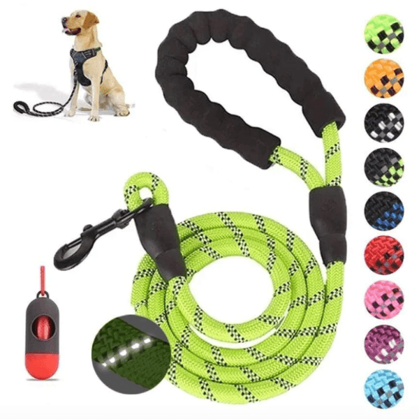 1.5M Strong and Reflective Guide Collar with Comfortable Padding - Shop for less