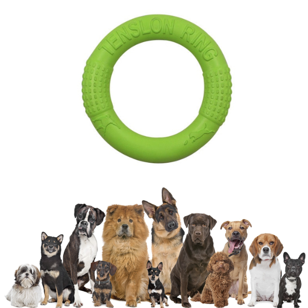 Dog Teether Toy - Training Disc - Shop for less