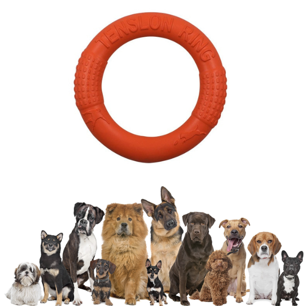 Dog Teether Toy - Training Disc - Shop for less