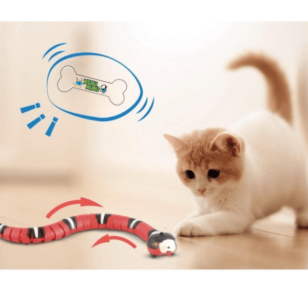 Cat Toy - Smart Snake with USB - Shop for less