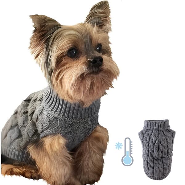 Winter Clothes for Small Breed Dogs - Shop for less