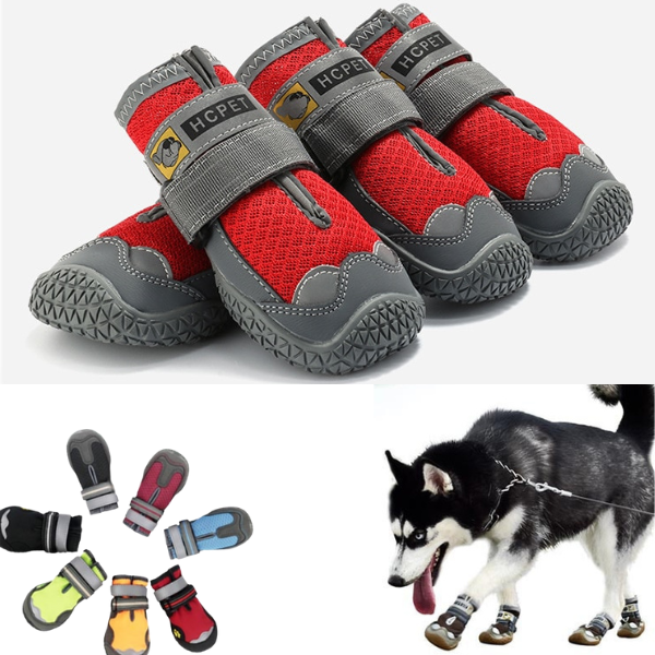 Anti-Slip Dog Shoe - Grip Shoes - Shop for less