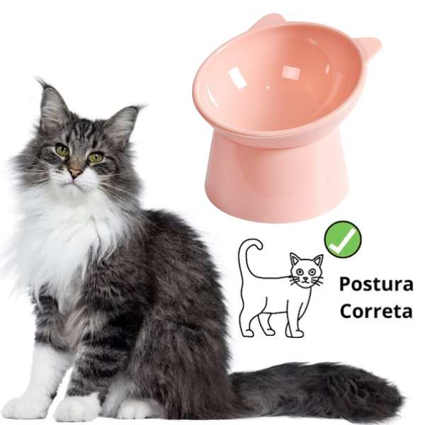 Elevated and Ergonomic Cat Feeder - Shop for less