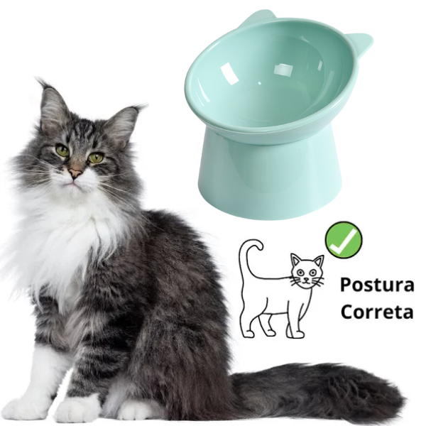 Elevated and Ergonomic Cat Feeder - Shop for less