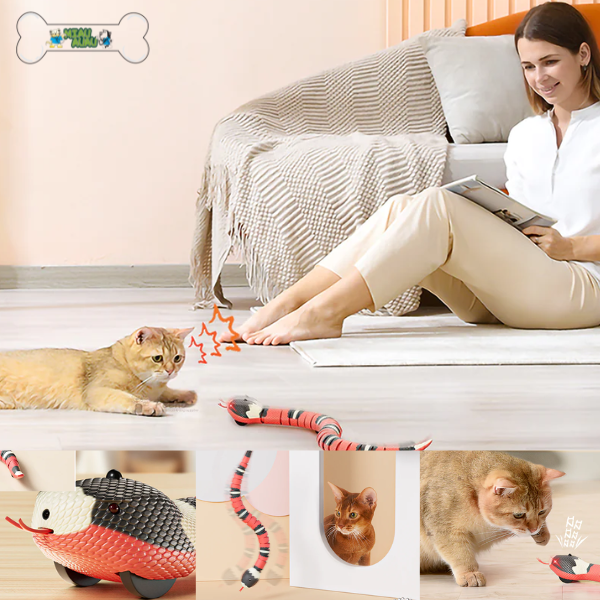 Cat Toy - Smart Snake with USB - Shop for less