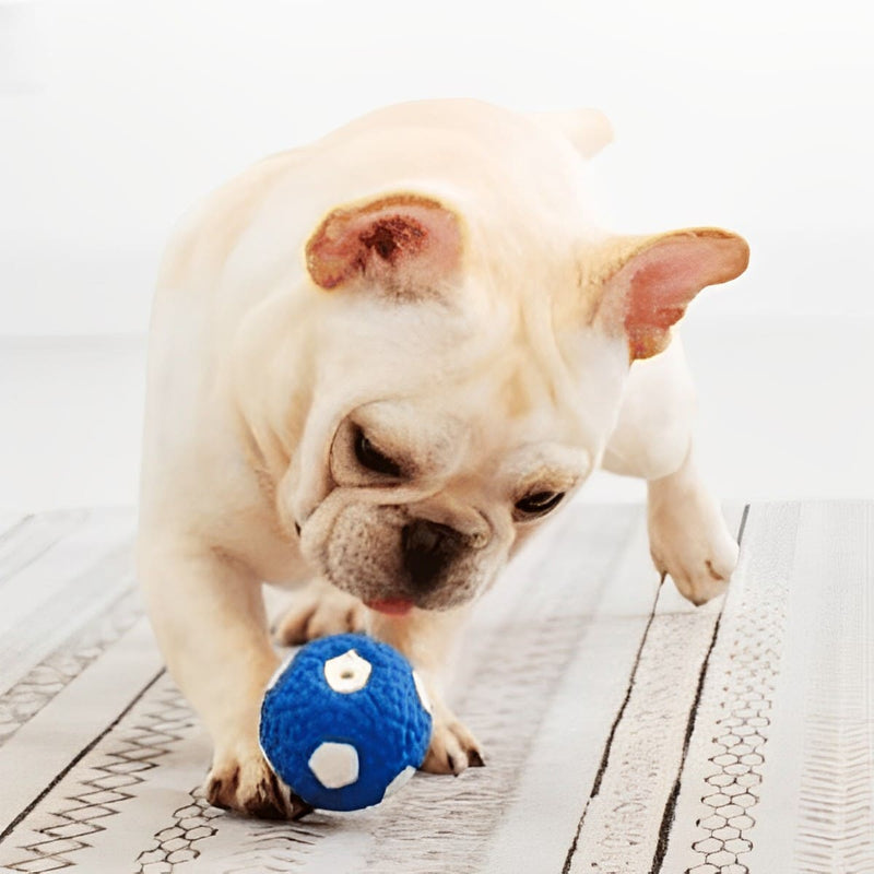 Interactive Dog Toy - Ultra Durable - Shop for less