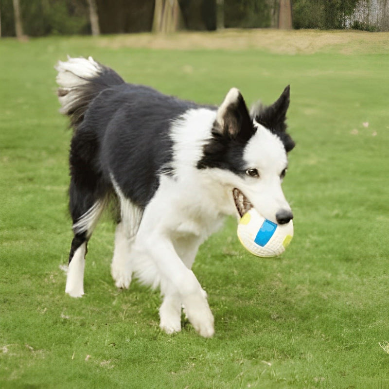 Interactive Dog Toy - Ultra Durable - Shop for less