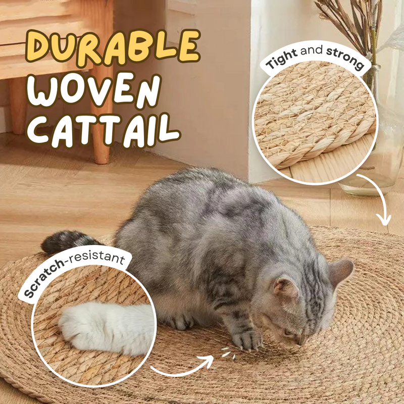 Cattail Scratcher Mat - Shop for less