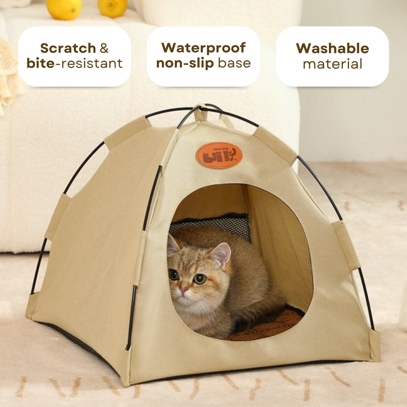 Cat Tent - Shop for less