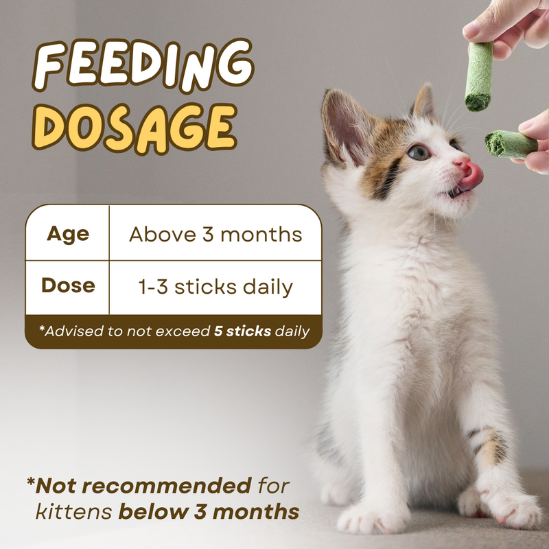 Cat Grass Teething Stick - Shop for less