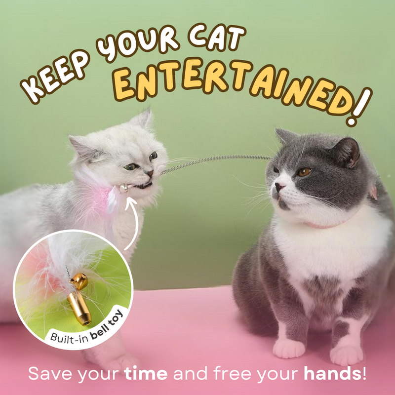 Cat Collar Toy - Shop for less